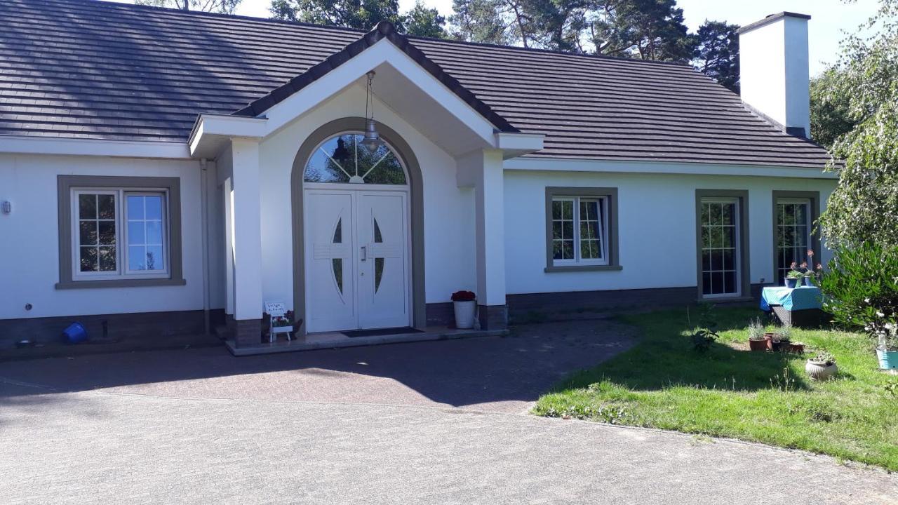 B&B De Tulp Retie Exteriör bild