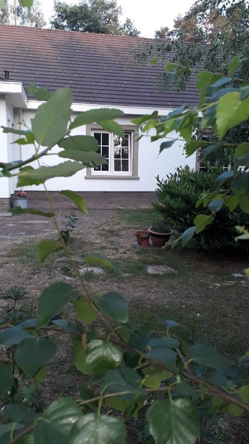 B&B De Tulp Retie Exteriör bild